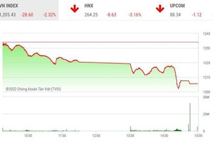 Giao dịch chứng khoán chiều 19/9: VN-Index bốc hơi gần 30 điểm, cổ phiếu đua nhau nằm sàn