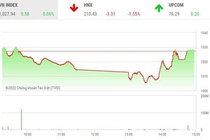 Giao dịch chứng khoán chiều 31/10: Mốc 1.000 điểm lại trở thành bệ đỡ, cổ phiếu thép nhận được lực mua bắt đáy