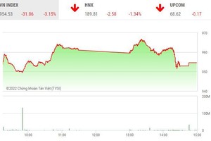Giao dịch chứng khoán chiều 11/11: Gần 100 mã nằm sàn, VN-Index vẫn tăng hơn 7 điểm