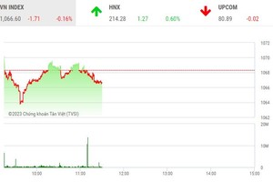 Giao dịch chứng khoán sáng 19/5: Thị trường rung lắc, DIG và HBC đã được giải cứu