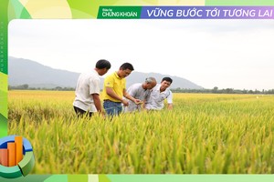 Phân bón Cà Mau với chiến lược tạo giá trị bền vững