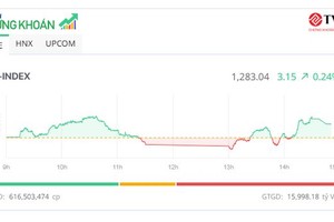 Cổ phiếu HVN “leo” đỉnh, VN-Index tăng điểm phiên thứ 5 liên tiếp