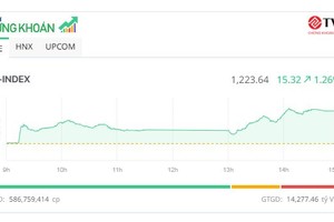 Bluechip “chắp cánh” cho thị trường, cổ phiếu chứng khoán nổi sóng