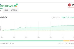 Sắc tím “nở rộ”, VN-Index “bay” qua mốc 1.250 điểm
