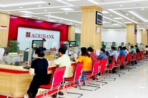 Agribank phát hành thành công 100 triệu trái phiếu ra công chúng với tổng giá trị 10.000 tỷ đồng