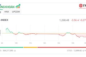Thị trường điều chỉnh nhẹ, cổ phiếu ITA bị bán tháo