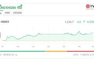 Cổ phiếu điện nổi sóng