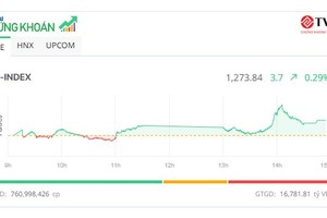 Thị trường lình xình, dòng tiền chảy mạnh vào cổ phiếu vừa và nhỏ