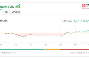 Thanh khoản thấp nhất 14 tháng, VN-Index “gỡ” lại mốc 1.250 điểm
