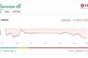 VN-Index mất gần 12 điểm, nhưng thanh khoản cao nhất 2 tháng 