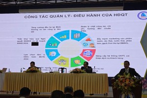 ĐHCĐ Biwase (BWE): Công ty đang thực hiện quyết liệt cùng đơn vị tư vấn cho việc tăng giá nước