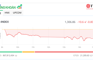 Cổ phiếu cao su bị bán mạnh, VN-Index giảm hơn 10 điểm