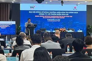 ĐHCĐ Điện Gia Lai (GEG) ngày 29/4