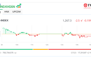 Cổ phiếu VIC "quay xe", thị trường điều chỉnh nhẹ sau 4 phiên khởi sắc