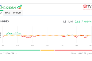 Thị trường giằng co, cổ phiếu vừa và nhỏ hút tiền 