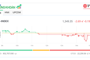 Thị trường điều chỉnh nhẹ, cổ phiếu xuất khẩu nổi sóng