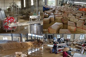 Xưởng miến của Hợp tác xã Việt Cường ngập hoàn toàn trong nước lũ