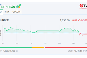 VCB tăng kịch trần, thị trường vẫn điều chỉnh