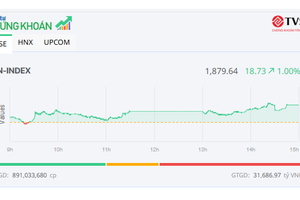 Nhiều mã vừa và nhỏ nổi sóng, VN-Index lên sát mốc 1.880 điểm