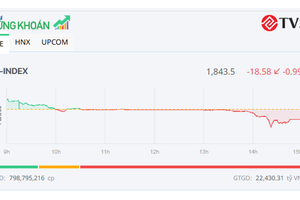 Sắc đỏ lan rộng, VN-Index “thủng” mốc 1.850 điểm 