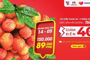 Vải thiều Thanh Hà lên sàn thương mại điện tử Lazada