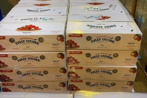 Vải thiều từ tâm dịch Bắc Giang xuất khẩu đi Nhật bằng máy bay.