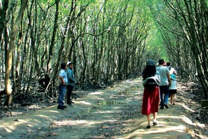 Du lịch Cần Giờ là tour thí điểm mở cửa đón khách trở lại sau thời gian dài du lịch TP.HCM đóng băng vì Covid-19