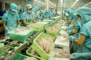 Cổ phiếu lập đỉnh mới khi thị trường xuất khẩu thủy sản phục hồi ấn tượng