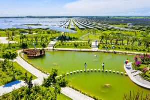 “Thảo nguyên xanh” gõ cửa mùa xuân