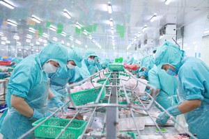 IDI tấp nập cho một mùa kinh doanh thuận lợi.