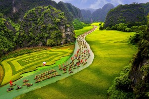 Du khách trải nghiệm Tuần du lịch Ninh Bình trên cánh đồng Tam Cốc. 