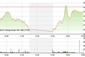 Phiên giao dịch chiều 19/8: Cổ phiếu chứng khoán “khởi nghĩa”