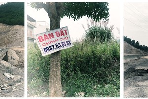 Vân Đồn đang trong "cơn bão" sốt đất