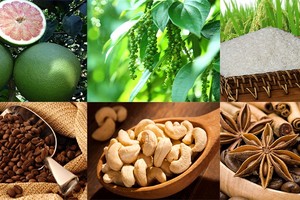 Thị trường hàng hóa tuần từ 30/9 – 4/10: Điểm nhấn nông sản 