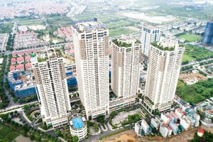 Hải Phát chuyển mình để thích nghi