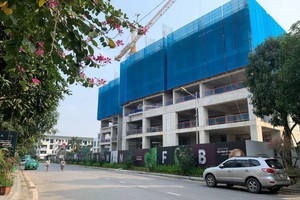 Dự án The Fibonan