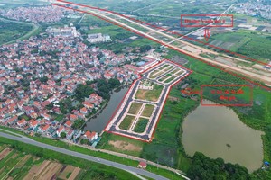 Các lô đất được đưa ra đấu giá tại huyện Hoài Đức (Hà Nội) ngày 19/8/2024, trong đó có lô đất được nhà đầu tư trả gấp hơn 18 lần so với giá khởi điểm. Ảnh: VGP