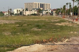 Khu Châu Hùm, thôn Đồng Bảng, xã Đồng Thái, huyện Ba Vì