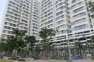 Chủ đầu tư dự án nhà ở xã hội sẽ bị xử phạt nếu không triển khai xây dựng theo tiến độ