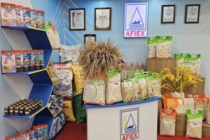 AFIEX (AFX) báo lãi lớn năm 2025 sau khi lên sàn HoSE