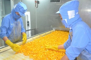 Hàng tiêu dùng, nông sản Việt Nam được người tiêu dùng Hàn Quốc ngày càng ưa chuộng.