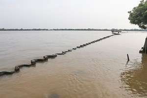 Dự án lấn sông đã hoàn thành hạng mục kè đá. Ảnh: Quỳnh Trần.