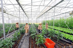 Hội nghị Thượng đỉnh Kinh doanh Việt Nam 2017: Cuộc kết nối đỉnh cao