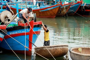 Thủ phủ tôm hùm Phú Yên mất trắng bão Damrey
