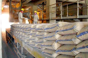 Góp công lớn trong việc đưa xuất khẩu xi măng về đích trước hẹn là những doanh nghiệp quy mô lớn như Vicem, The Vissai, Thăng Long, Nghi Sơn…