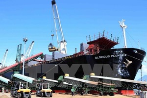 Hệ thống sàn nâng, băng chuyền được đưa vào sử dụng góp phần tăng nâng suất vận chuyển hàng qua cảng Đà Nẵng. (Ảnh: Trần Lê Lâm/TTXVN)