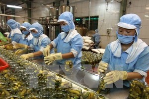 Chế biến nông sản xuất khẩu. (Ảnh: Vũ Sinh/TTXVN)