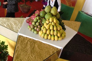 Giá trị xuất khẩu rau quả tăng hơn 40% so với năm 2016 - Ảnh: VGP/Đỗ Hương