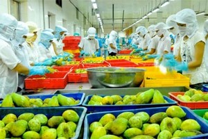 Xoay trục với mặt hàng chủ lực giúp ngành nông nghiệp thu về thành công lớn.