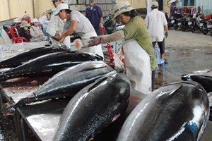 Xuất khẩu thủy sản của nước ta đã mang về 8,3 tỷ USD trong năm 2017, với sự đóng góp đáng kể của các mặt hàng: Tôm, cá tra, cá ngừ...